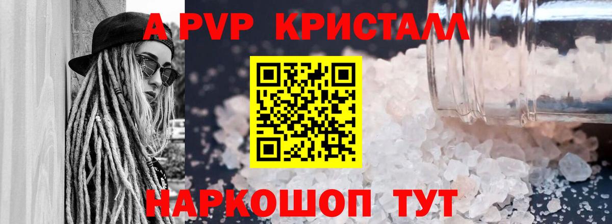 Альфа ПВП СК Сальск