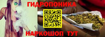 трава Партизанск