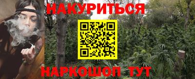 трава Партизанск