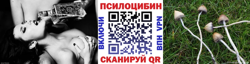 Галлюциногенные грибы мухоморы  Сальск 