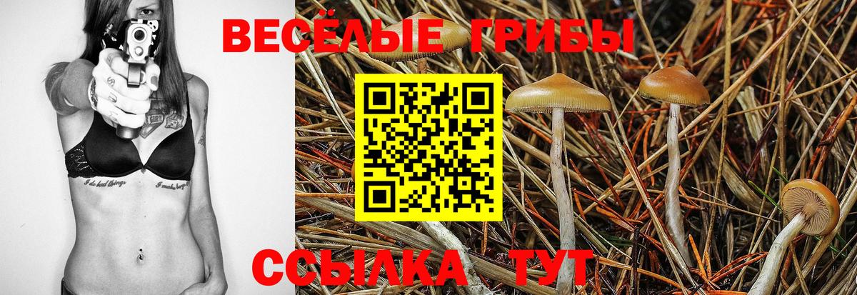 Галлюциногенные грибы Cubensis  Галлюциногенные грибы Magic Shrooms  Вход с VPN  Сальск 