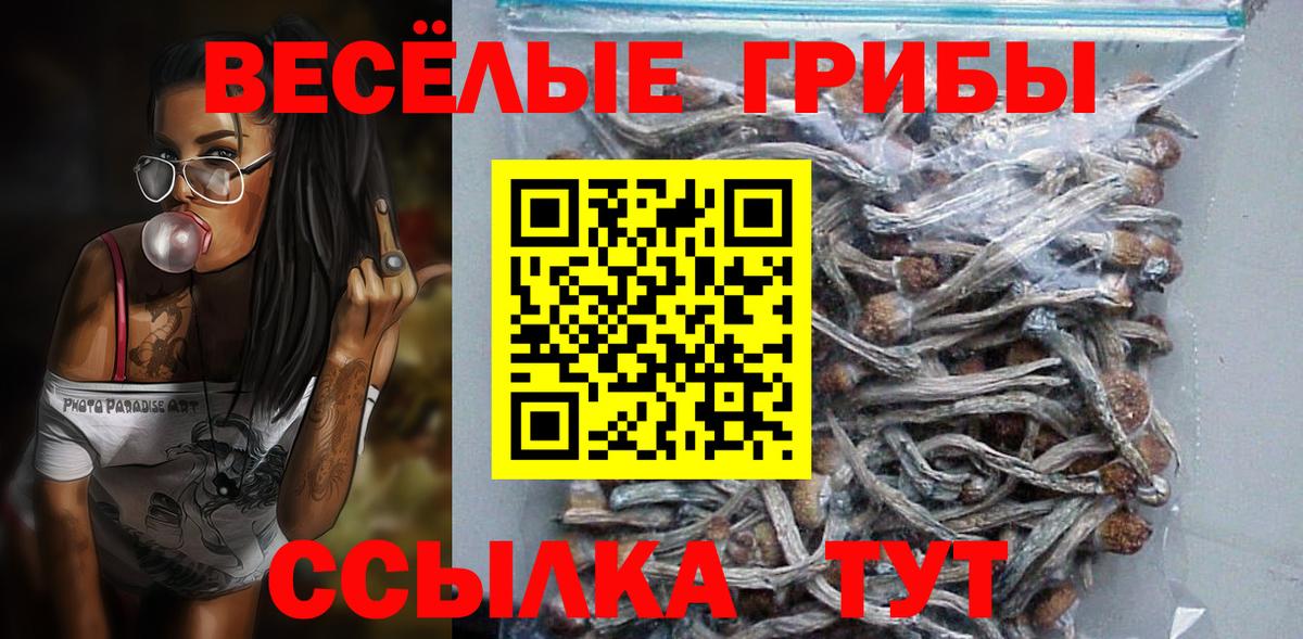 Псилоцибиновые грибы Psilocybe Сальск